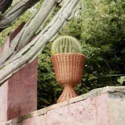 Agnes Plant Stand