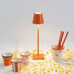 Poldina Micro